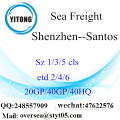 Shenzhen Port Sea Freight Shipping à Santos